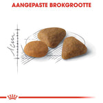 Royal Canin Exigent 35/30 Savour Sensation - Kattenvoer - 0.4 Kilogram - Gevogelte