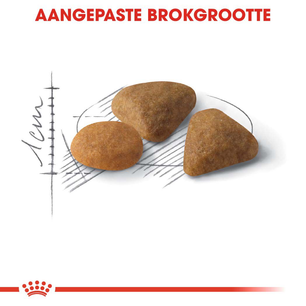 Royal Canin Savour Exigent - Kattenvoer - 10 Kilogram - Gevogelte