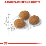 Royal Canin Exigent 33 Aromatic Attraction - Kattenvoer - 2 Kilogram - Gevogelte