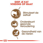 Royal Canin Ageing +12 - Kattenvoer - 0.4 Kilogram - Gevogelte