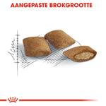 Royal Canin Ageing +12 - Kattenvoer - 0.4 Kilogram - Gevogelte