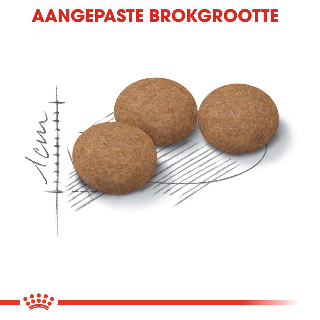 Royal Canin Ageing Sterilised 12+ - Kattenvoer - 2 Kilogram - Gevogelte
