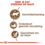 Royal Canin Ageing Sterilised 12+ - Kattenvoer - 4 Kilogram - Gevogelte
