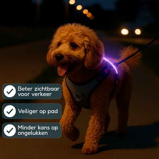 HappiTail™ LED Anti-Trek Hondentuig
